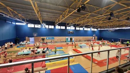 Salle de gymnastique à la Halle des Sports des Alexis avec plusieurs ateliers et gymnastes en activité